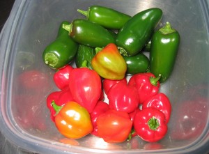Peppers! Peppers!