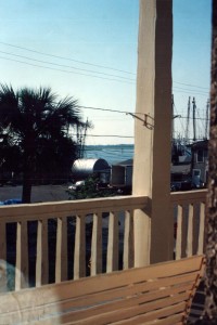 cumberland_island_01 cumberland_island_01