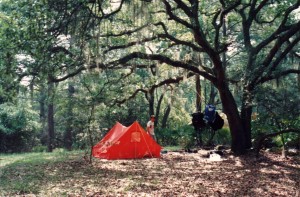 cumberland_island_04 cumberland_island_04