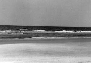 cumberland_island_31 cumberland_island_31