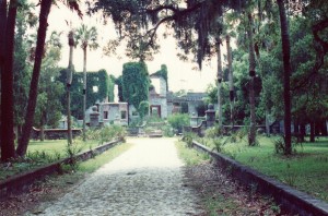 cumberland_island_33 cumberland_island_33