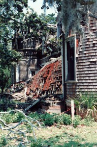 cumberland_island_43 cumberland_island_43