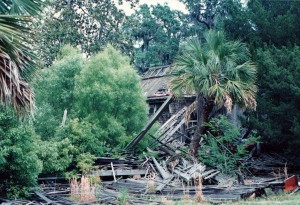 cumberland_island_48 cumberland_island_48