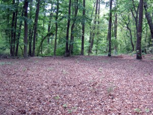 clt_field_trip_05a